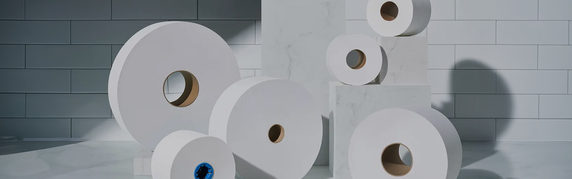 Toilet Tissue